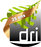 Digital Rural Informatique